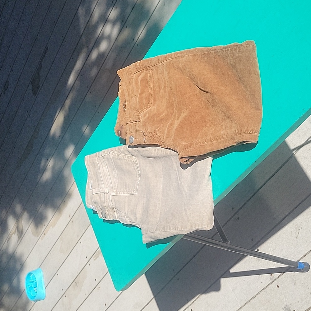 TwO pairs of CLOSED pants
